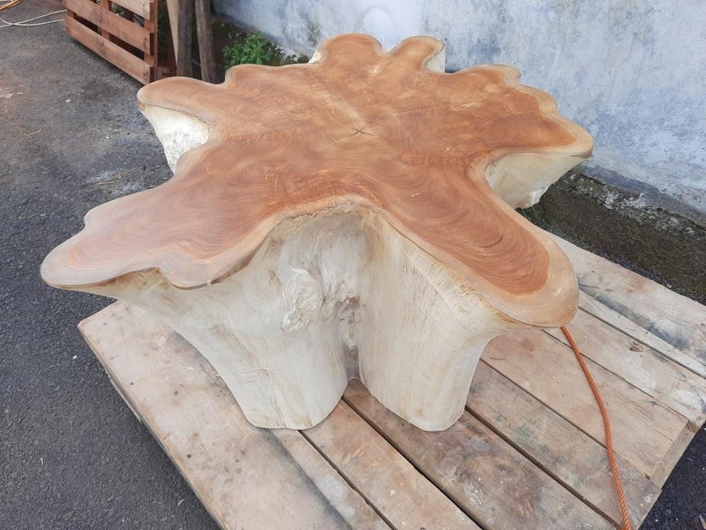 Bleach Teak Star Stump Coffee Table - Teak Root Coffee Table - Teak Stump Coffee Table - SOGEH Furniture