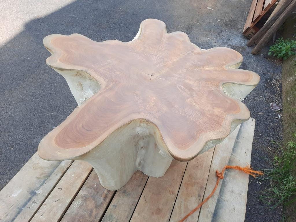 Bleach Teak Star Stump Coffee Table - Teak Root Coffee Table - Teak Stump Coffee Table - SOGEH Furniture