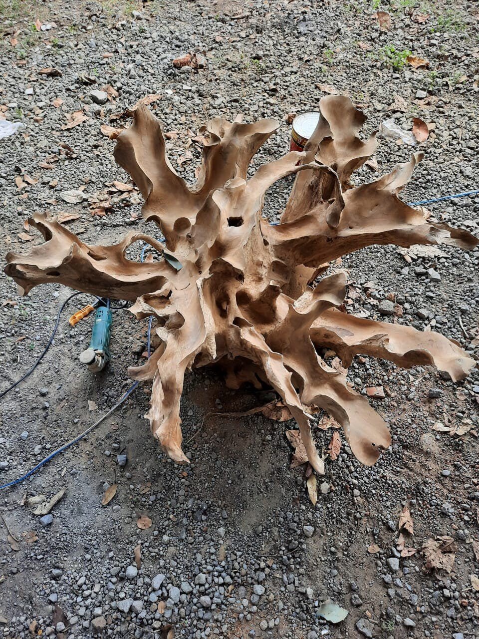 Floral Branch Round Teak Root Coffee Table - High Quality Teak Root Coffee Table - Handcarved Manually - Unique and One of a Kind - SOGEH Furniture