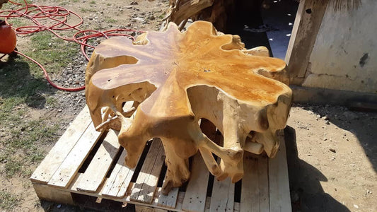 Natural Finishing Burl Teak Root Coffee Table - High Quality Teak Root Coffee Table - Handcarved Manually - Unique and One of a Kind - SOGEH Furniture