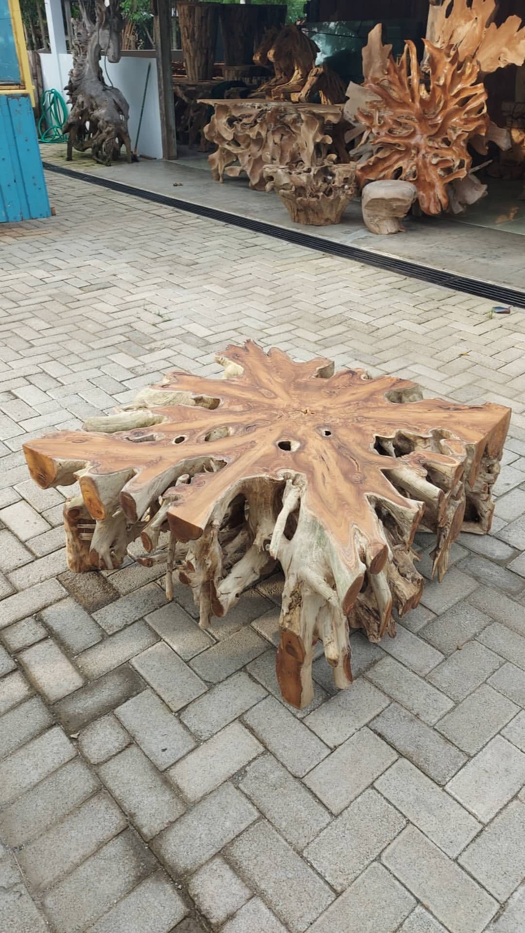 Natural SQUARE Burl Teak Root Coffee Table - Square Solid teak root coffee table - burl coffee table - SOGEH Furniture