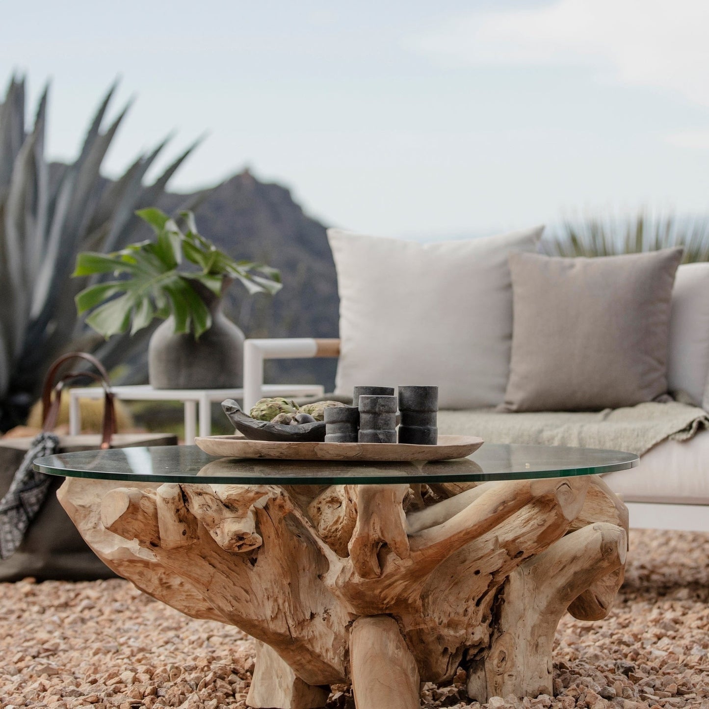 Natural Teak Root Coffee Table - Solid Teak Coffee Table - Living Room Coffee Table - SOGEH Furniture