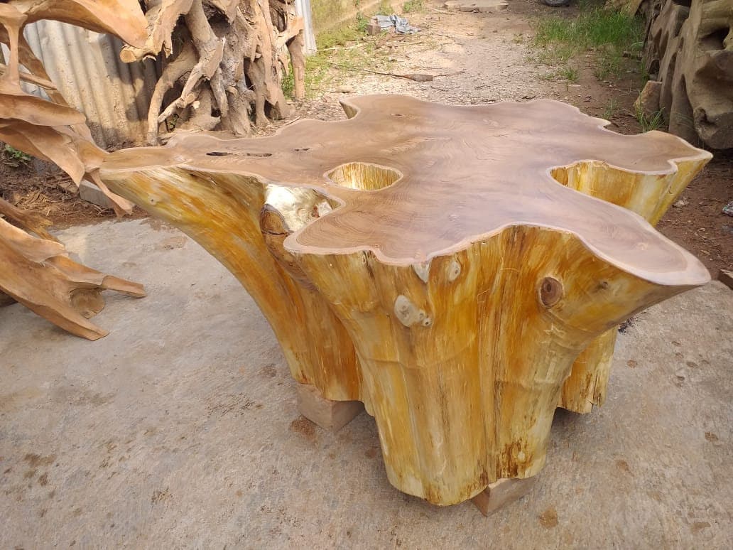 Natural Teak Stump Coffee Table - Teak Stump Coffee Table - Teak Root Coffee Table Star Table - Star Table teak Root table - SOGEH Furniture