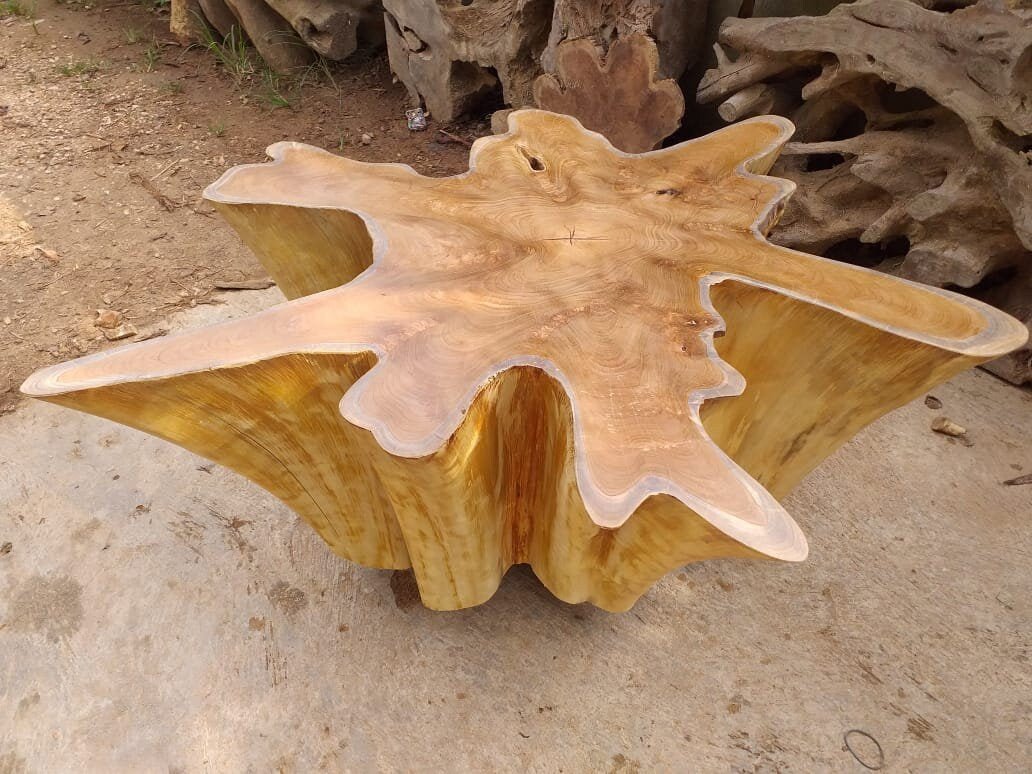 Natural Teak Stump Coffee Table - Teak Stump Coffee Table - Teak Root Coffee Table Star Table - Star Table teak Root table - SOGEH Furniture