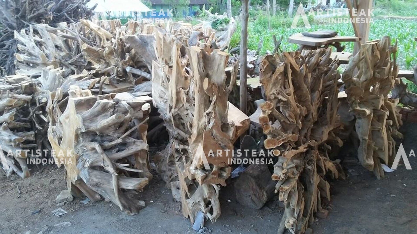 Square Teak Root Wall Divider - Teak Root Wall Art - Teak Root Wall Decor - Teak Root Wall Hanging - SOGEH Furniture