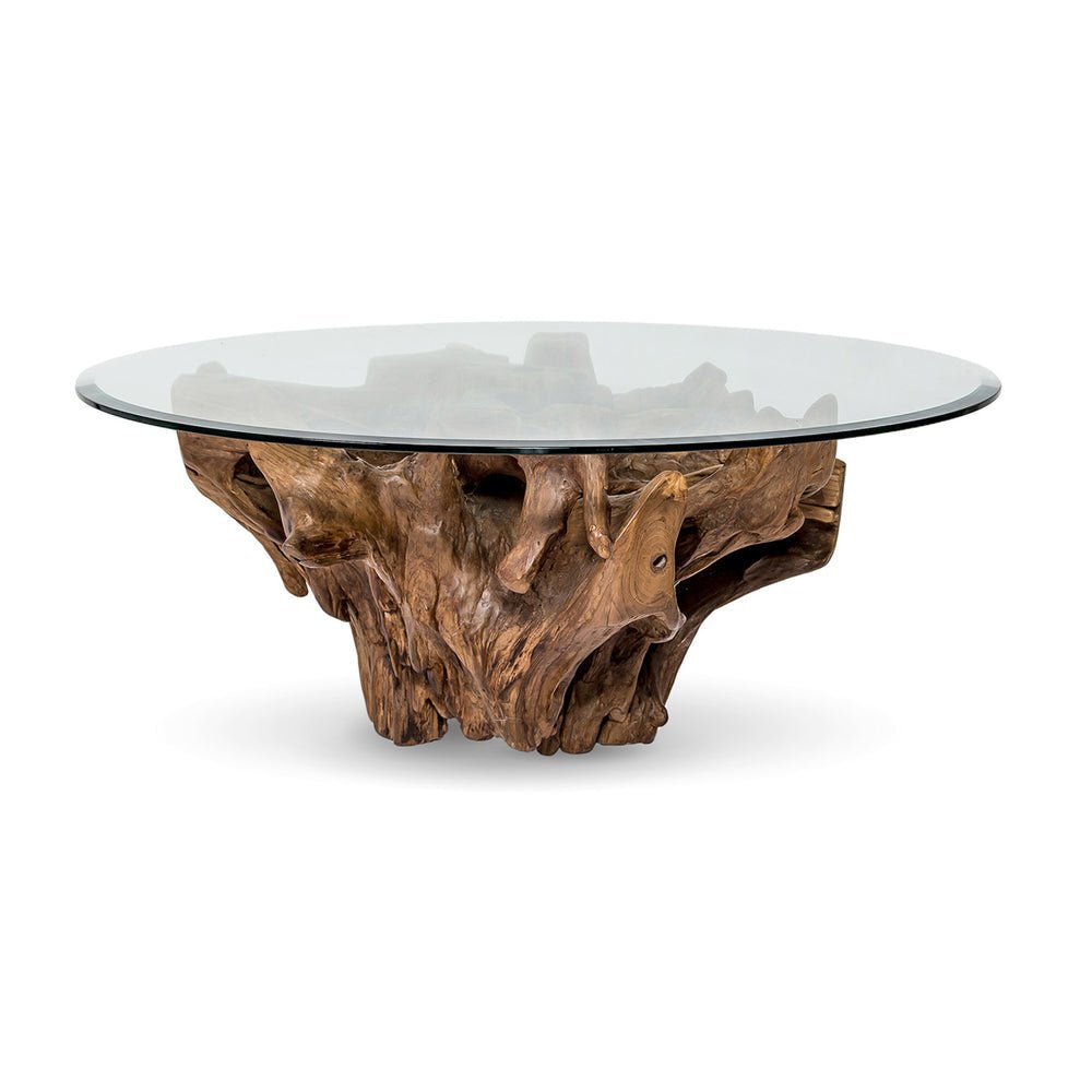 Teak Root Coffee Table with Glass Top - Indonesian Teak Root Table - Luxury Coffee Table - SOGEH Furniture