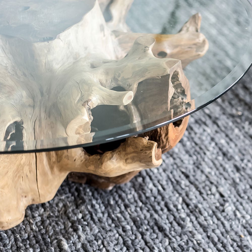 Teak Root Coffee Table with Glass Top - Indonesian Teak Root Table - Luxury Coffee Table - SOGEH Furniture