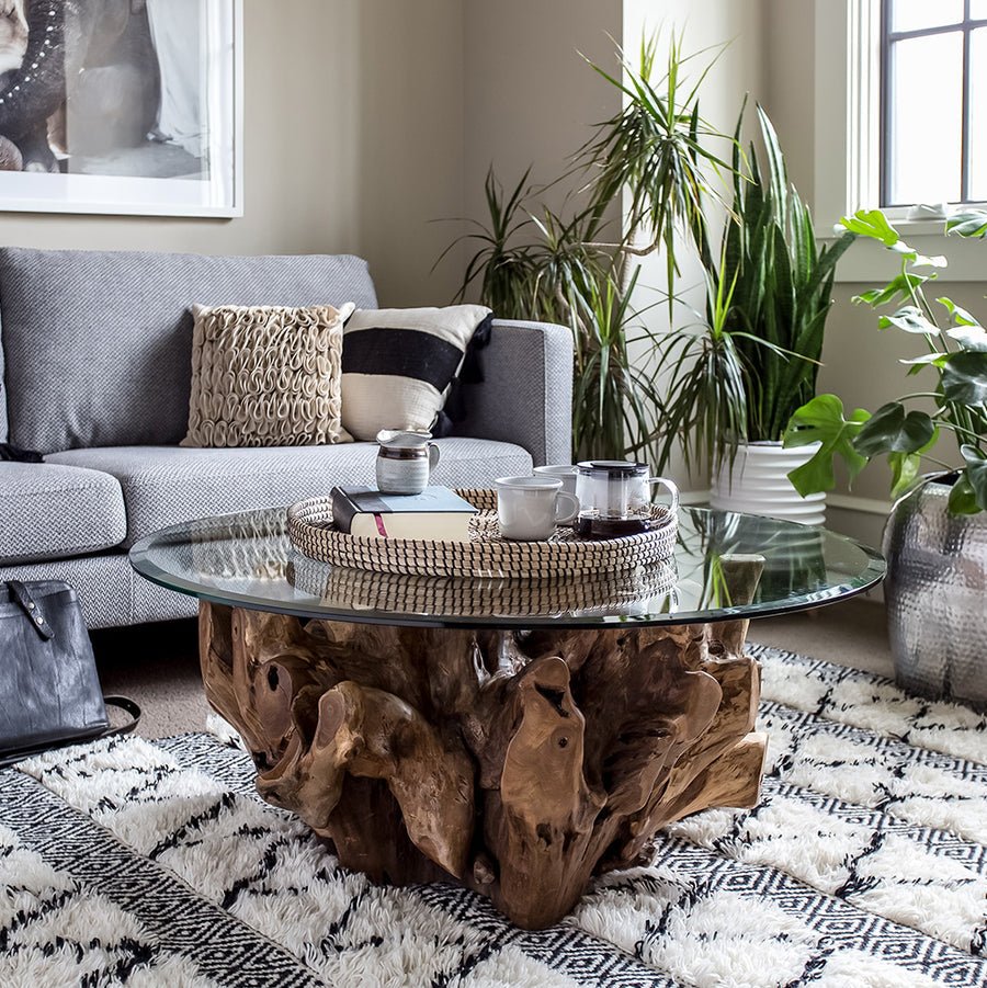 Teak Root Coffee Table with Glass Top - Indonesian Teak Root Table - Luxury Coffee Table - SOGEH Furniture