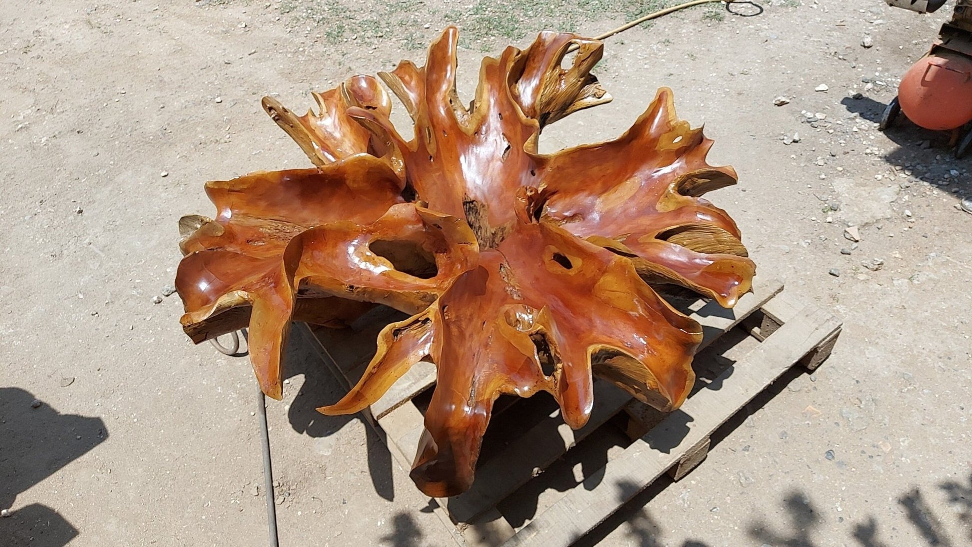 Waves Teak Root Coffee Table - High Quality Teak Root Coffee Table - Handcarved Manually - Unique and One of a Kind - SOGEH Furniture