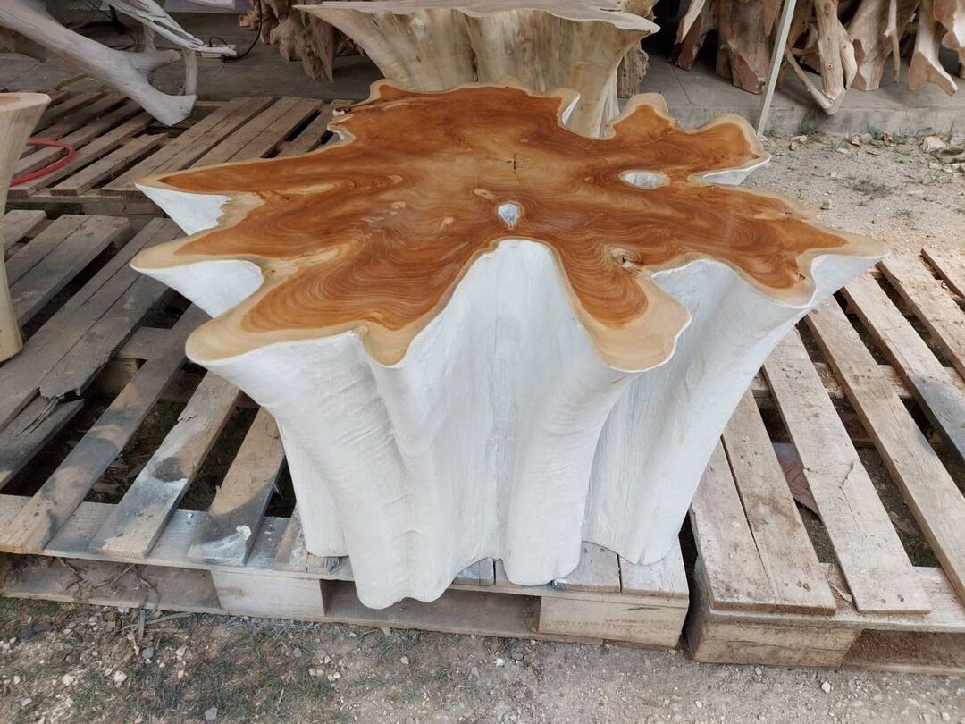 WHITEY Teak Star Coffee Table - Teak Stump Coffee Table - SOGEH Furniture